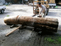 外壁・柱根継ぎ　貝ノ口・尻挟み 