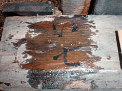 廻り番付発見…？