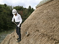 長枘・車地栓打ち