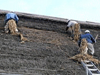 外壁・柱根継ぎ　貝ノ口・尻挟み 