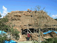 廻り番付発見…？